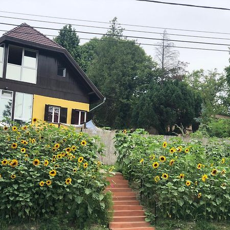 Apartament R&B Vendeghaz Balatonakarattya Zewnętrze zdjęcie